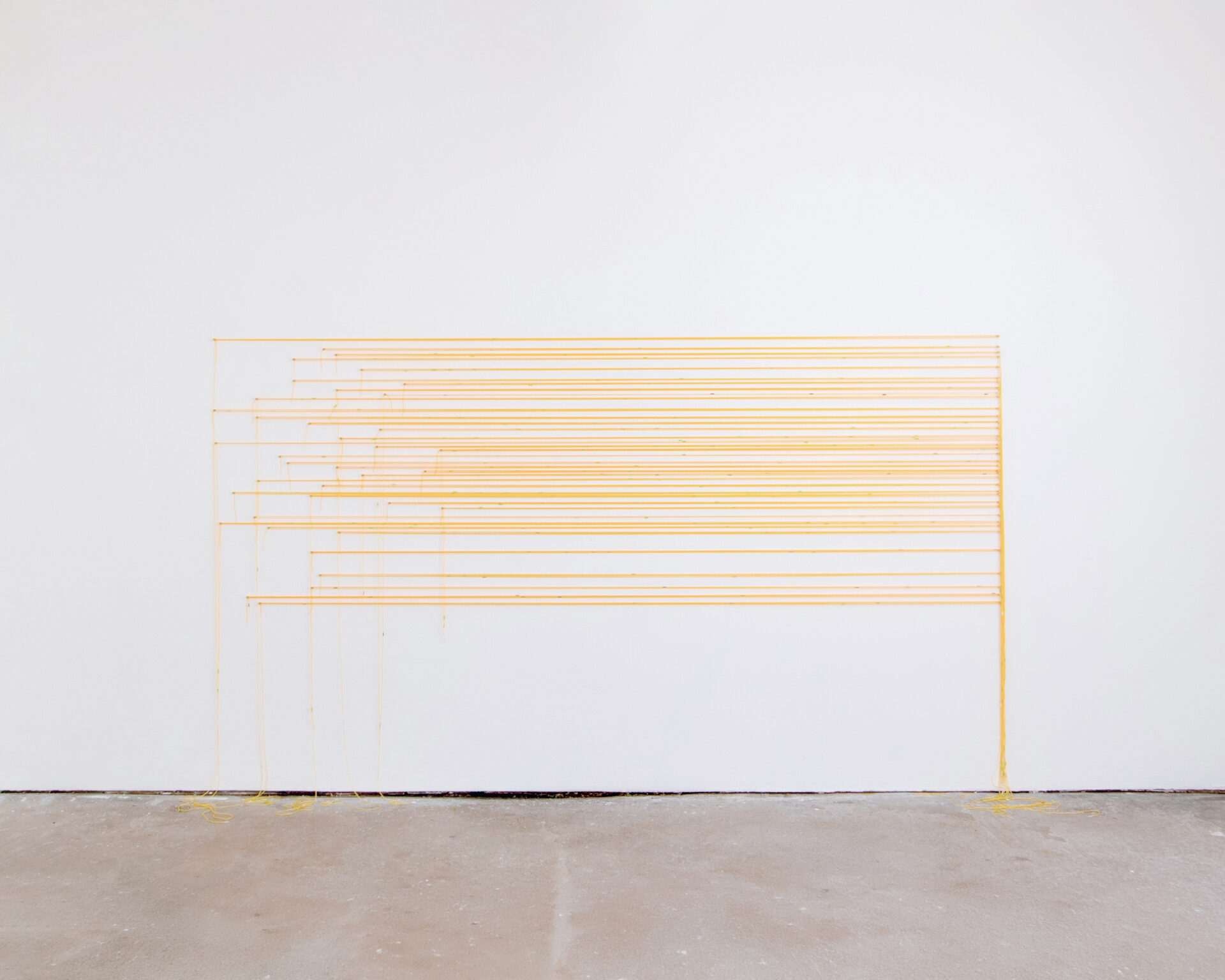 Anne Tallentire, ‘The Hospitable Threshold’, Cubitt, 26 June – 26 September 2026