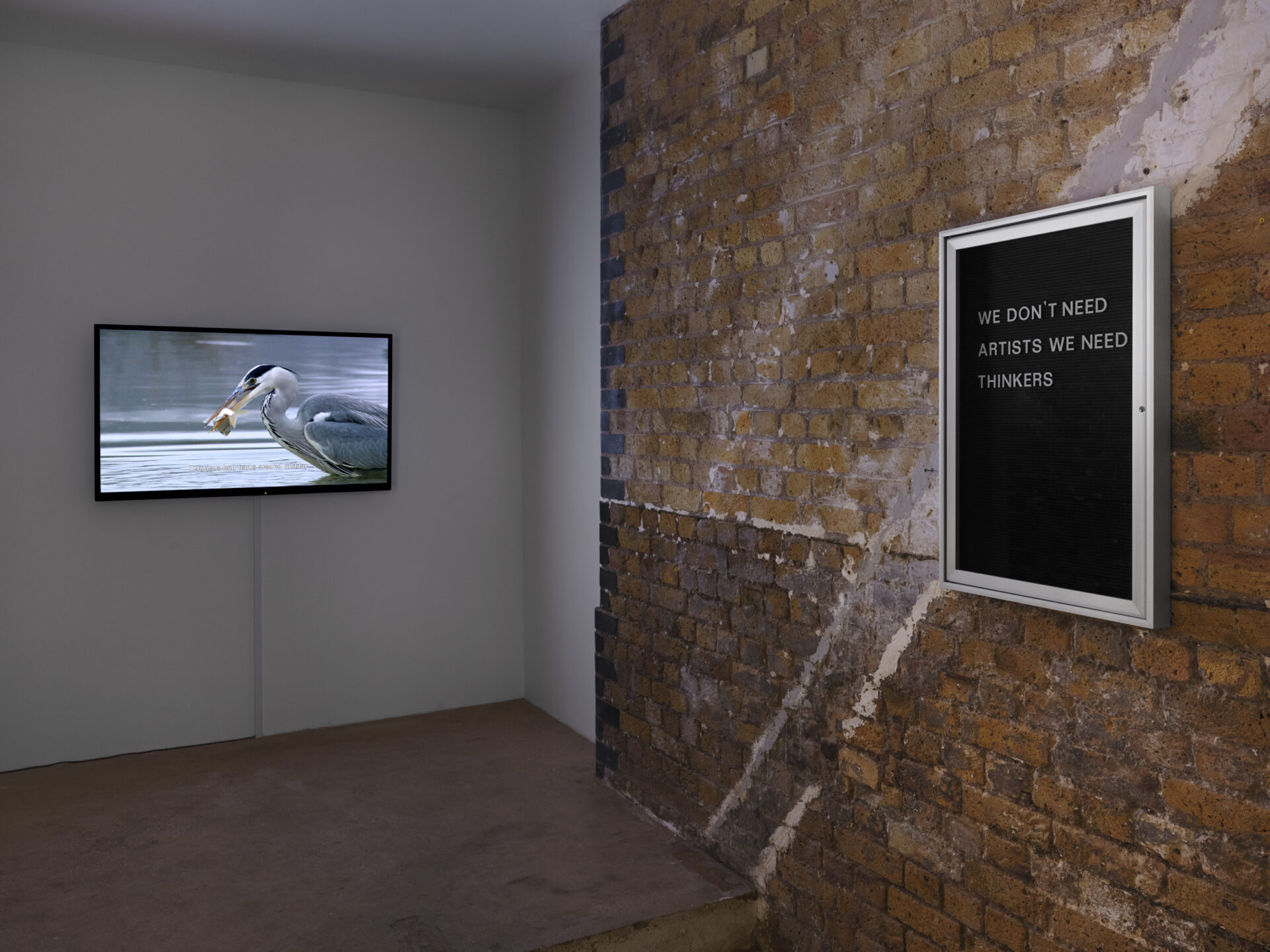 Condo London 2026, ‘Birds’, Exhibition Walk-Through with Bethan Huws and Malin Ståhl