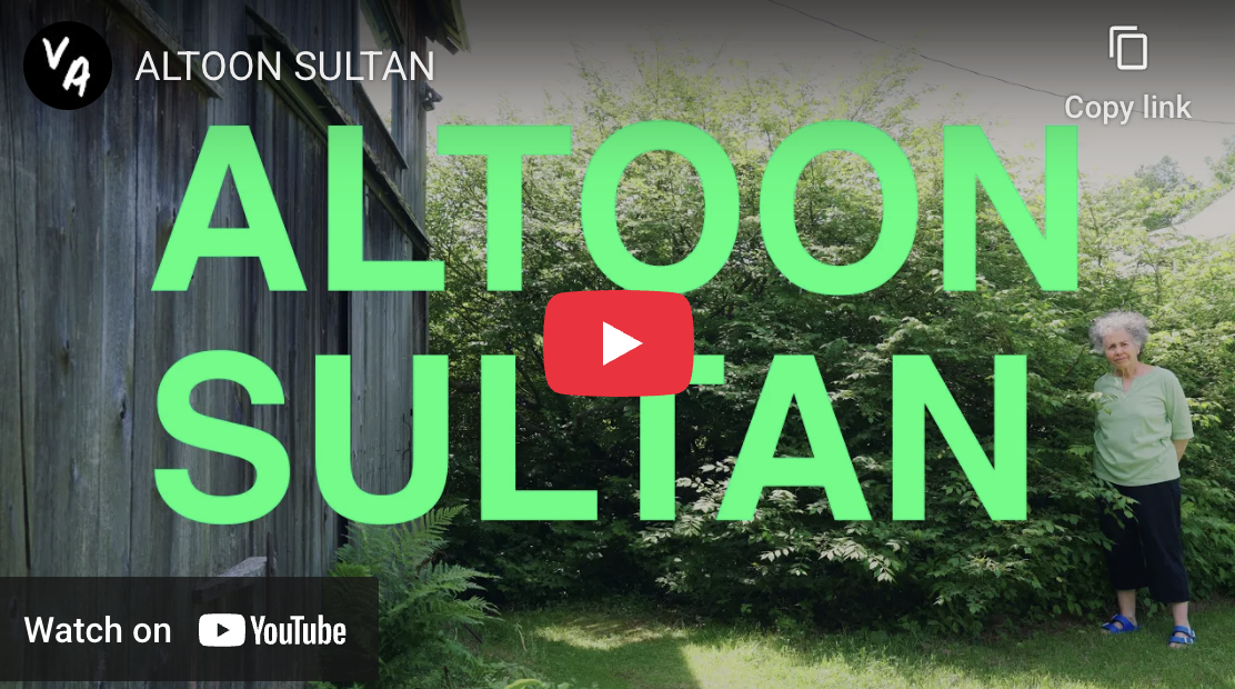 20.11.25 – ‘Altoon Sultan’, Visiting Artists